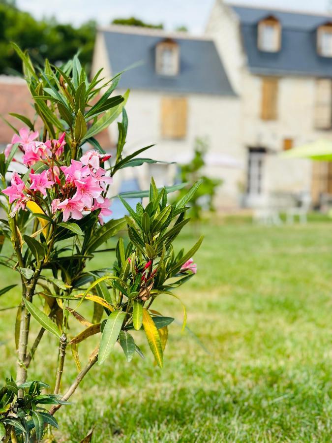 The Ronsardienne Suite In A Charming Mansion At The Gates Of Tours Saint-Avertin Exteriér fotografie